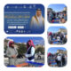 ساعة مشي